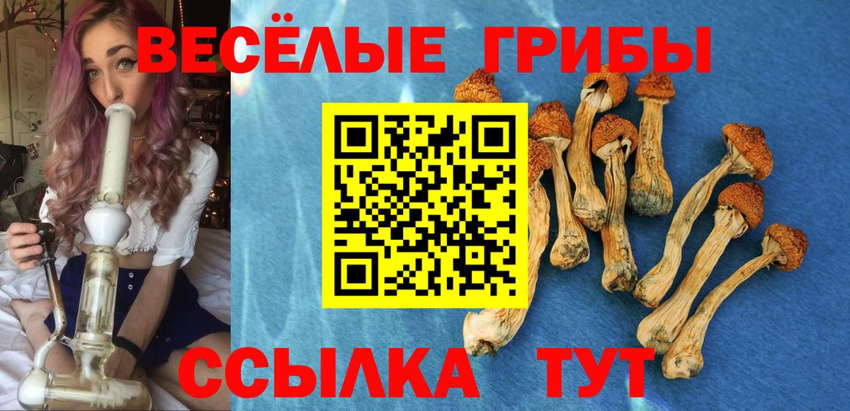 Галлюциногенные грибы Cubensis  Вход с VPN  Янаул 