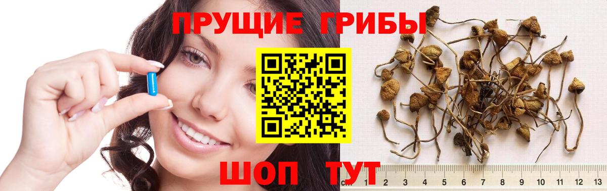 Галлюциногенные грибы Magic Shrooms Янаул